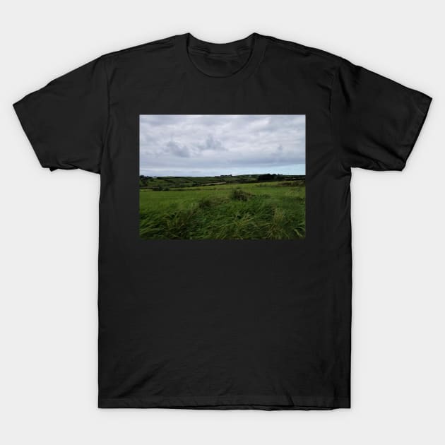 Isolation T-Shirt by Kyarwon